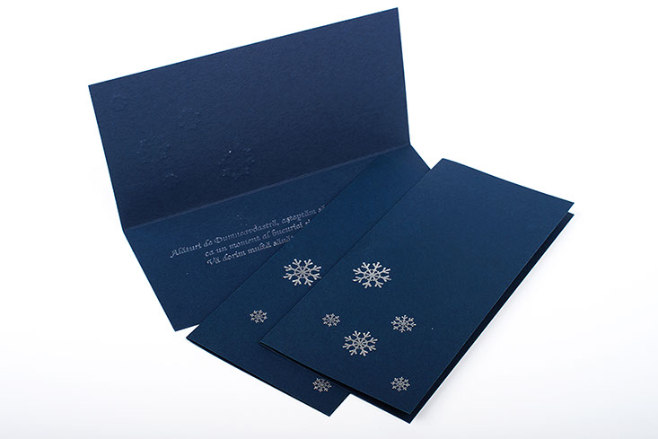 productie publicitara